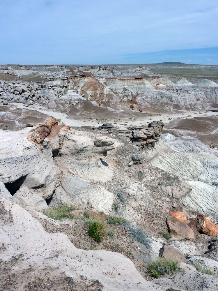 Blue mesa FP (8).JPG
